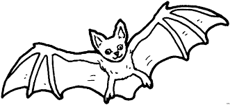 Halloween Ausmalbilder Fledermaus 08 Bat Coloring Pages Animal Coloring Pages Coloring Pages