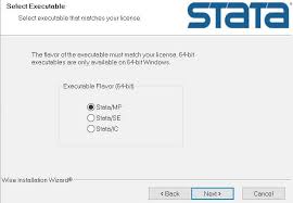 Stata Economics It
