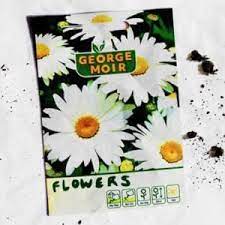 Check spelling or type a new query. George Moir Flowers Lyrics Genius Lyrics
