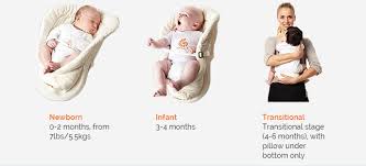 Ergo Infant Insert Pillow Welcome To Buy Whathifi In