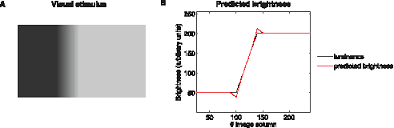 Mach Bands Effect A A Dark Band And A Bright Band Appear At The Download Scientific Diagram