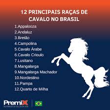 Raças de cavalo no Brasil, quais as principais? - Blog Premix