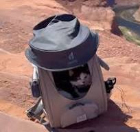 Best cat backpack for hiking? : r/hikinggear