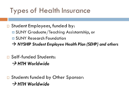 Is available to students on an f1 visa with health insurance plans designed specifically for international and study abroad students and scholars, img has done the. University At Albany International Health Insurance Hth Worldwide Presented By International Student And Scholar Services Isss International Orientation Ppt Download