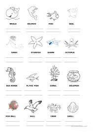 Spreader of the bubonic plague. Name Sea Animals English Esl Worksheets For Distance Learning And Physical Classrooms