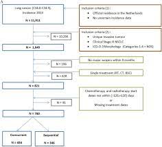 In 2017, 5.2 % of all female deaths in luxembourg were from breast cancer. Treatment Variation Of Sequential Versus Concurrent Chemoradiotherapy In Stage Iii Non Small Cell Lung Cancer Patients In The Netherlands And Belgium Clinical Oncology