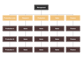 all you need to know organizational chart