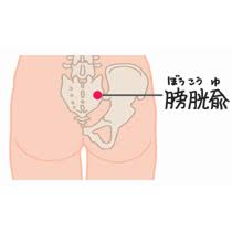 上板橋で肩こり・頭痛・腰痛等にお悩みならSUN鍼灸整骨院へ