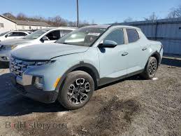 Image result for Blue Stone 2022 Santa Cruz