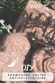 Diy Shampoing Solide Antipelliculaire Ayurvedique Diy Shampoing Solide Diy Shampoing Shampoing