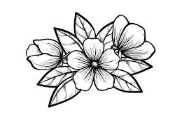 Art Black And White Flower Design Black And White Flower Drawing Branch Of A Blossoming Tree In Graphic Style Simple Drawings Flower Drawing Simple Flower Drawing Branch Drawing