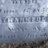 Thankful Dunham (1776–1853)