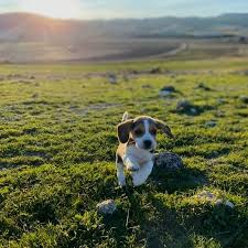 Rate her out of 10!😻❤️