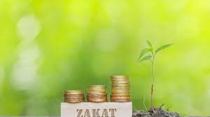 Pengertian dan hukum zakat fitrah zakat fitrah (zakat nafs) adalah zakat berupa makanan pokok yang wajib dikeluarkan oleh setiap umat islam yang mampu satu tahun sekali pada bulan ramadhan. Syarat Syarat Wajib Zakat Fitrah Beserta Bacaan Niat Untuk Diri Sendiri Dan Keluarga Tribunnews Com Mobile