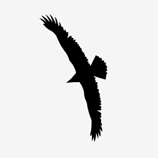 Black Eagle Silhouette Silhouette Vector Eagle Funching Png And Vector With Transparent Background For Free Download Are you looking for eagle silhouette design images templates psd or png vectors files? black eagle silhouette silhouette