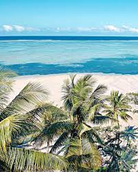 With fiji wallpapers hd, make your phone looks attractive by setting hd images of fiji. 450 Fiji Pictures Hd Download Free Images On Unsplash