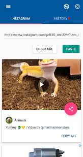 Now you can instantly download instagram videos and save trending pictures straight from the instagram application like that funny cat video on instagram? Video Downloader For Instagram 1 1 98 Download For Android Apk Free