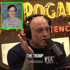 @VigilantFox's video Tweet