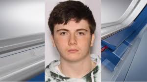 FBI: 18-year-old accused of several swatting incidents across U.S. in  custody