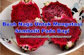 Makanan beragi dan suplemen penambah nutrisi untuk yang rentan terhadap gangguan pencernaan. Pin Oleh Ai Susi Di Herbal Buah Naga Buah Naga