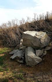 Mein Ausflugstipp Strandpfad Der Sinne In Eckelsheim Ausflug Strand Mammutbaum