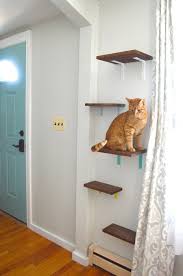 Check out our cat window perch selection for the very best in unique or custom, handmade pieces from our pet furniture shops. Not Your Typical Cat Tree 3 Creative Diy Cat Perches The Catnip Times