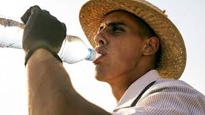 News Briefs Archives