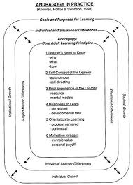 Pin On Adult Learning Andragogy