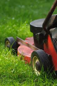 Buy steam engine oil and get the best deals at the lowest prices on ebay! Https Www Farmcollector Com Steam Traction Build A Steam Engine From A Lawn Mower