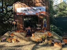 Top 12 Things To Do This Week Weekend In Houston With Kids October 7 13 2019 Houston Painted Pumpkins Neighborhood Block Party