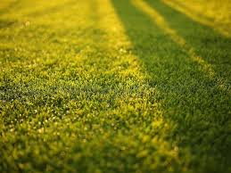 Our lawn care services will give you the perfect outdoor landscape you have always dreamed of, whether it be commercial or residential. Lawn Care And Maintenance Services In Charlotte