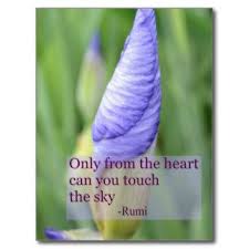 Spiritually Inspiring Poster Google Search Rumi Quotes Quote Cards Wisdom Quotes