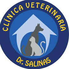 CLINICA VETERINARIA DR SALINAS