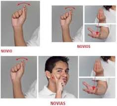 Como Expresarse Con Ayuda Del Lenguaje De Senas No Basta Con Saber Las Senas Hace F Lenguaje De Senas Palabras En Lenguaje De Senas Lengua De Senas Mexicana