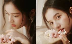 phim Tích Hoa Chỉ