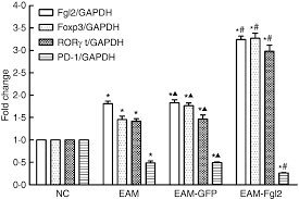 Due to hypoxia and increased hydrostatic pressure, capillary permeability rises acute, plasma steepness and edema. Fibrinogen Like Protein 2 Causes Deterioration In Cardiac Function In Experimental Autoimmune Myocarditis Rats Through Regulation Of Programmed Death 1 And Inflammatory Cytokines Zheng 2018 Immunology Wiley Online Library