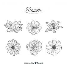 Illustration about floral seamless pattern. Hand Drawn Flower Pack Hand Drawn Flowers Flower Drawing Flower Art Drawing