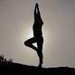 Chair Yoga/Pilates