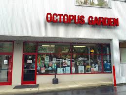 Best Head Shops In Asheville North Carolina