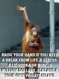 .cute monkey sayings funny monkey with makeup funny monkey with banana funny monkey faces cartoon monkey funny animals silly funny hair funny monkey love monkey humor funny monkey photography funny monkey dance flying monkey quotes monkey jokes funny. Pin By Kris Erdman On My Humor Funny Quotes Monkeys Funny Work Humor