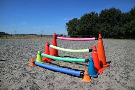 4 Awesome Things You Can Do With Pool Noodles Hippocrit Tv Pool Noodle Horse Horseback Riding Lessons Horse Jumping