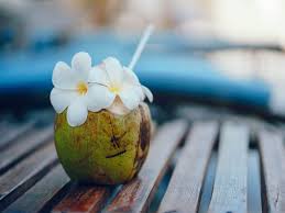 Coconut water offers hydrating effects similar to the. The Truth About Coconut Water The Coconut Shop