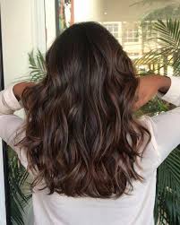 Best Hair Color For 2020 In 2020 Brown Hair Balayage Balayage Hair Hair Highlights