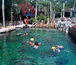 Typhoon Lagoon Water Park At Walt Disney World Florida Disney Water Parks Disney World Trip Disney World Florida