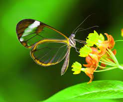 Also, for lovers and couples. Nature Images For Whatsapp Dp 2818x2330 Wallpaper Teahub Io