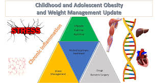 Image result for Obesity Management