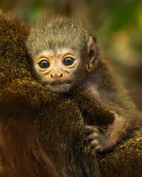 Tis the season! 🥂