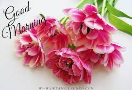Stunning photo of the good morning. Top 70 Beautiful Good Morning Images à¤— à¤¡ à¤® à¤° à¤¨ à¤—