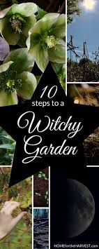 How To Create A Witch Garden Cultivate Plant Magick And Nurture Sacred Space Witchy Garden Witch Garden Witch Herbs