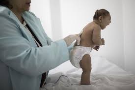 Tracking zika virus infections is difficult, however. Zika Mucke Jetzt Auch In Chile Festgestellt Tages Anzeiger